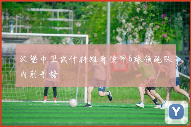 汉堡中卫武什科维奇德甲6球领跑队内射手榜