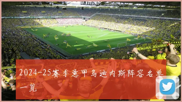 2024-25赛季意甲乌迪内斯阵容名单一览