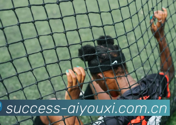 爱游戏体育平台生态图