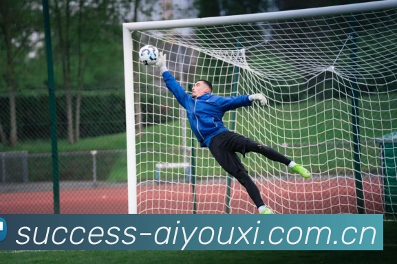 爱游戏体育APP 封面图